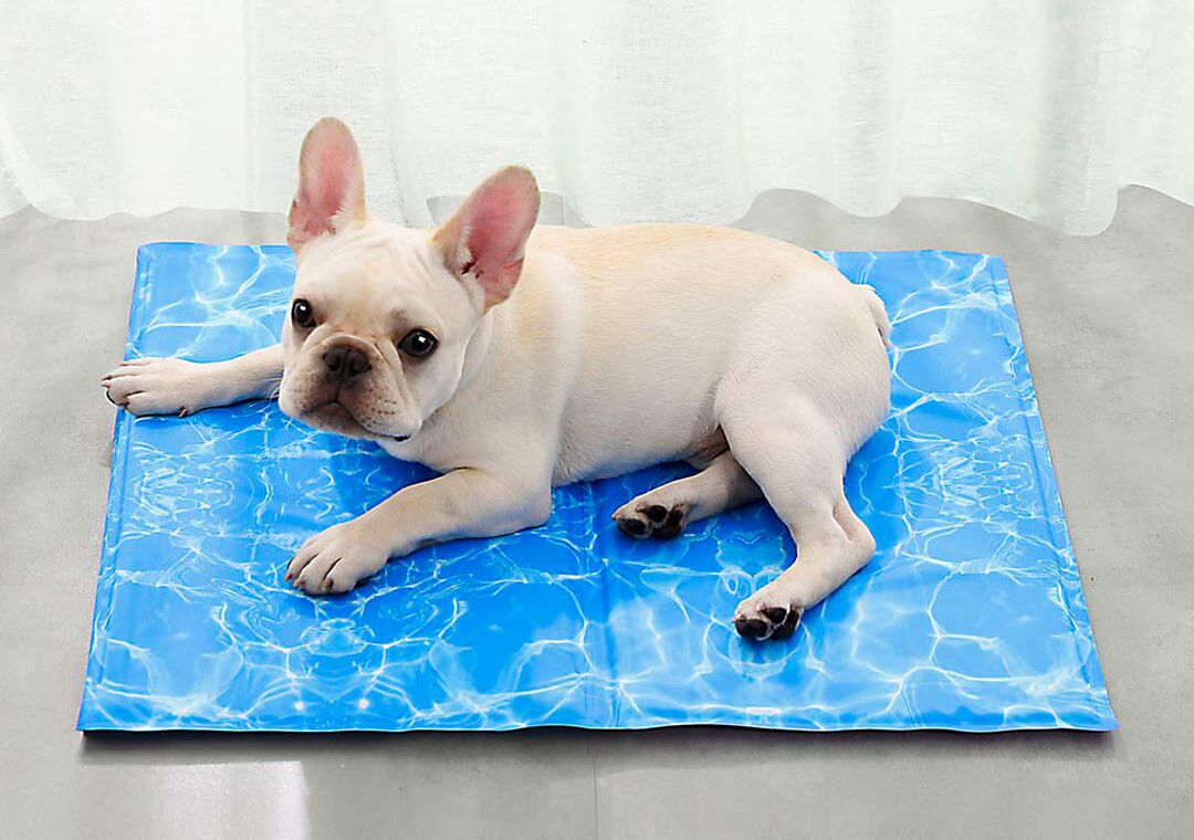 Коврик для животных Xiaomi Little Beast Small Star Pet Ice Pad Water Ripple